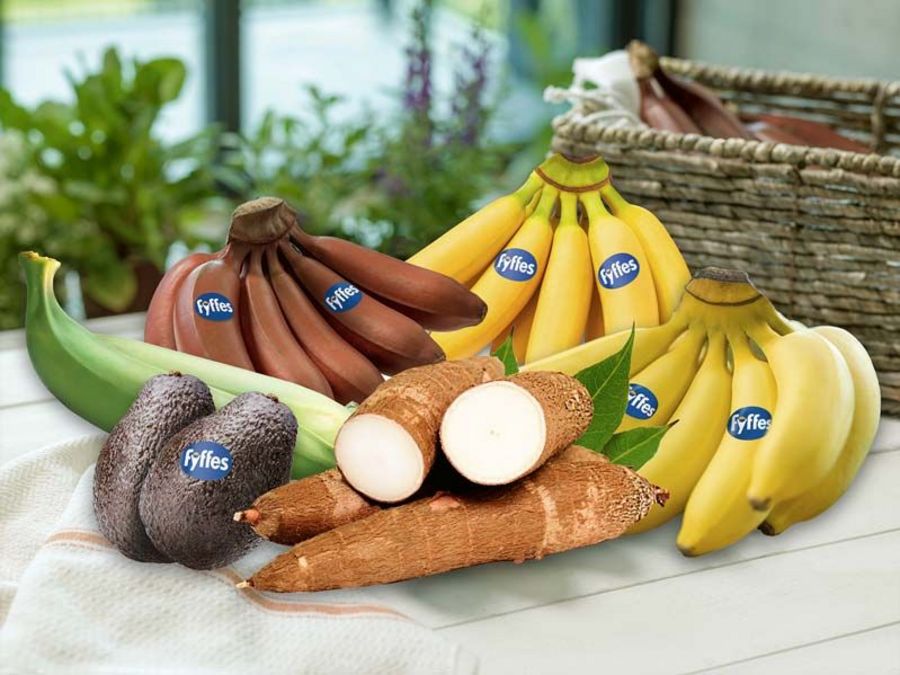 Fyffes International Bananen