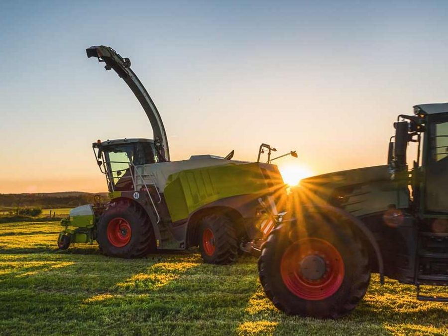 Ein wichtiger Beitrag zur Ernährung der Bevölkerung