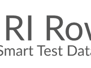 RowGen als Generator für synthetische, referentiell und korrekte Testdaten in Sekunden