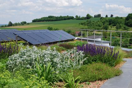 Dachbegrünung und Solar