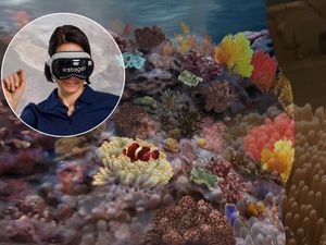 Mit immersivem Storytelling Emotionen und Erlebnisse schaffen