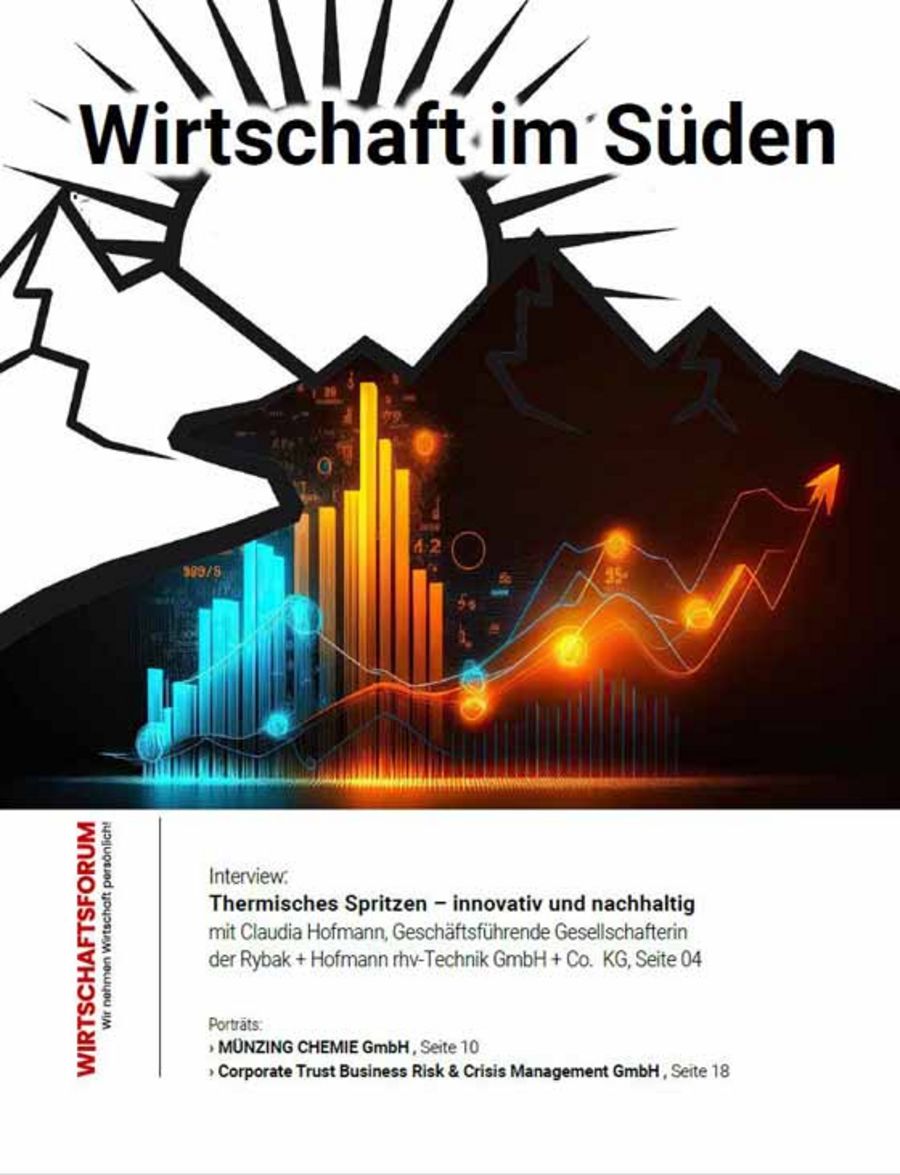 ePaper Wirtschaft im Süden 17