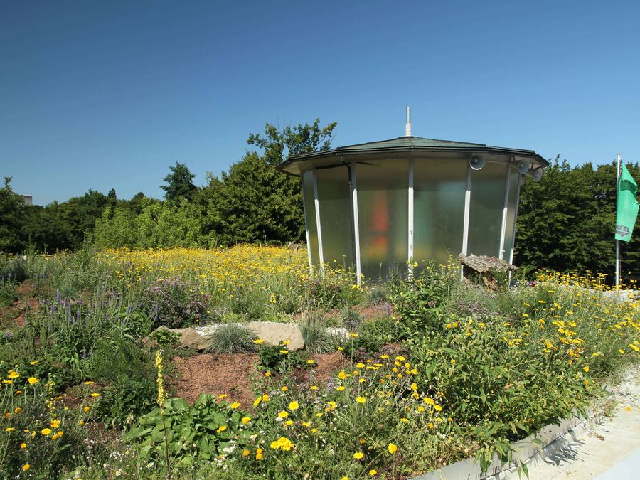 Biodiversitäts-Gründach Biodiversitäts-Gründach