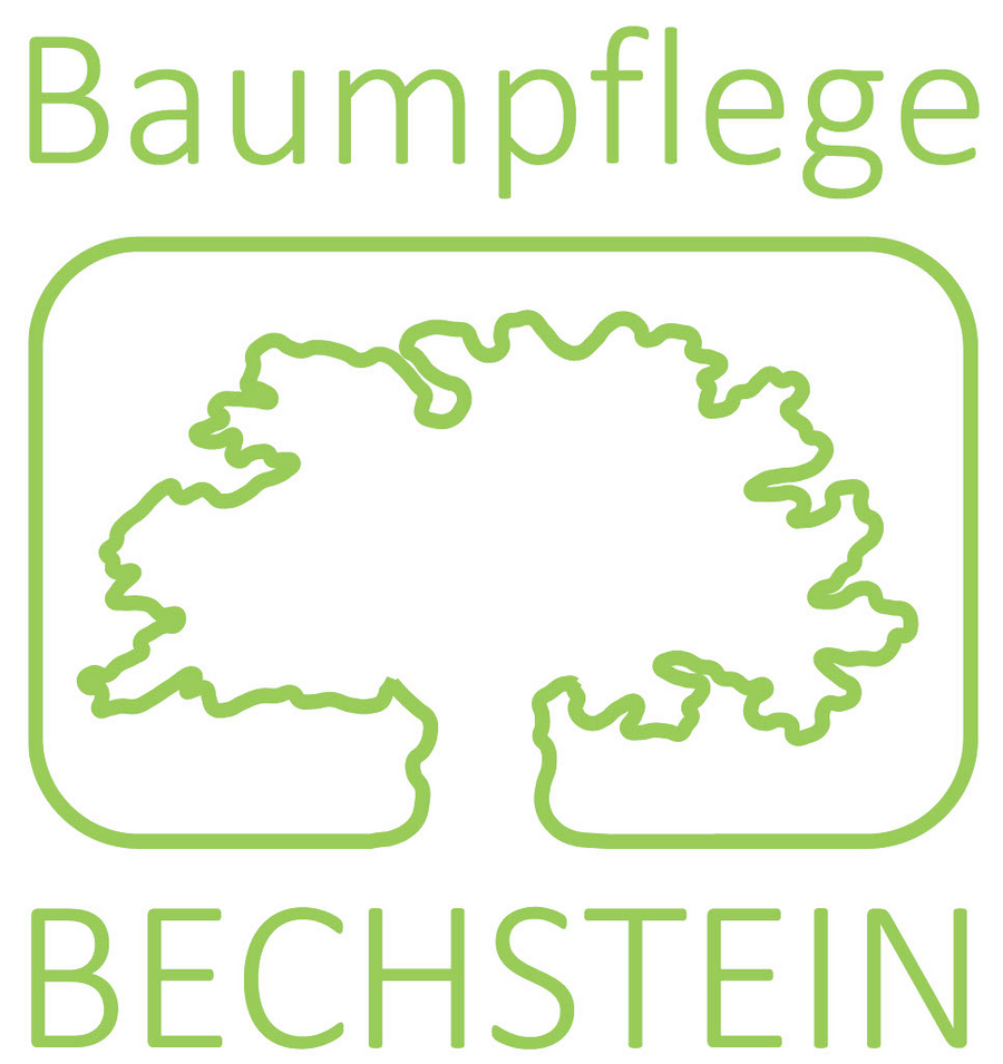 Baumpflege Bechstein GmbH