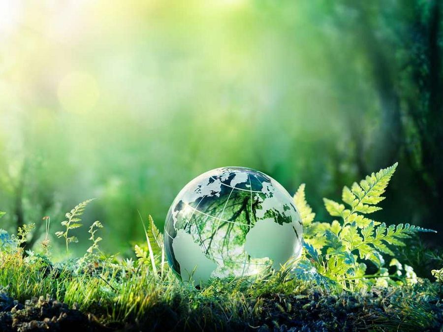 Second Elements GmbH & Co KG erhält eine Auszeichnung von EcoVadis für Nachhaltigkeit