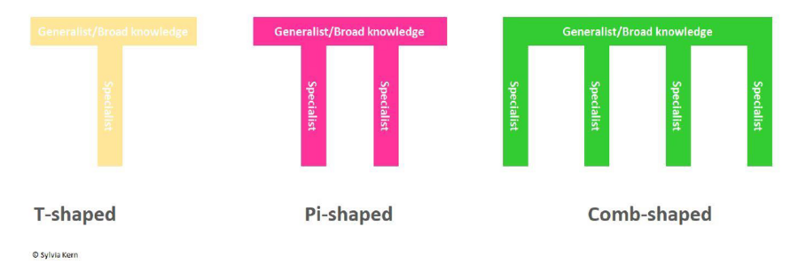 Future Skills 2021 Stifterverband_ McKinsey & Company