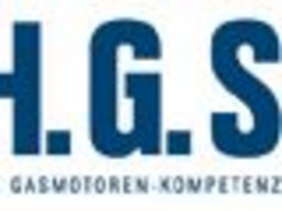 H.G.S. GmbH & Co. KG