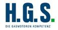 H.G.S. GmbH & Co. KG