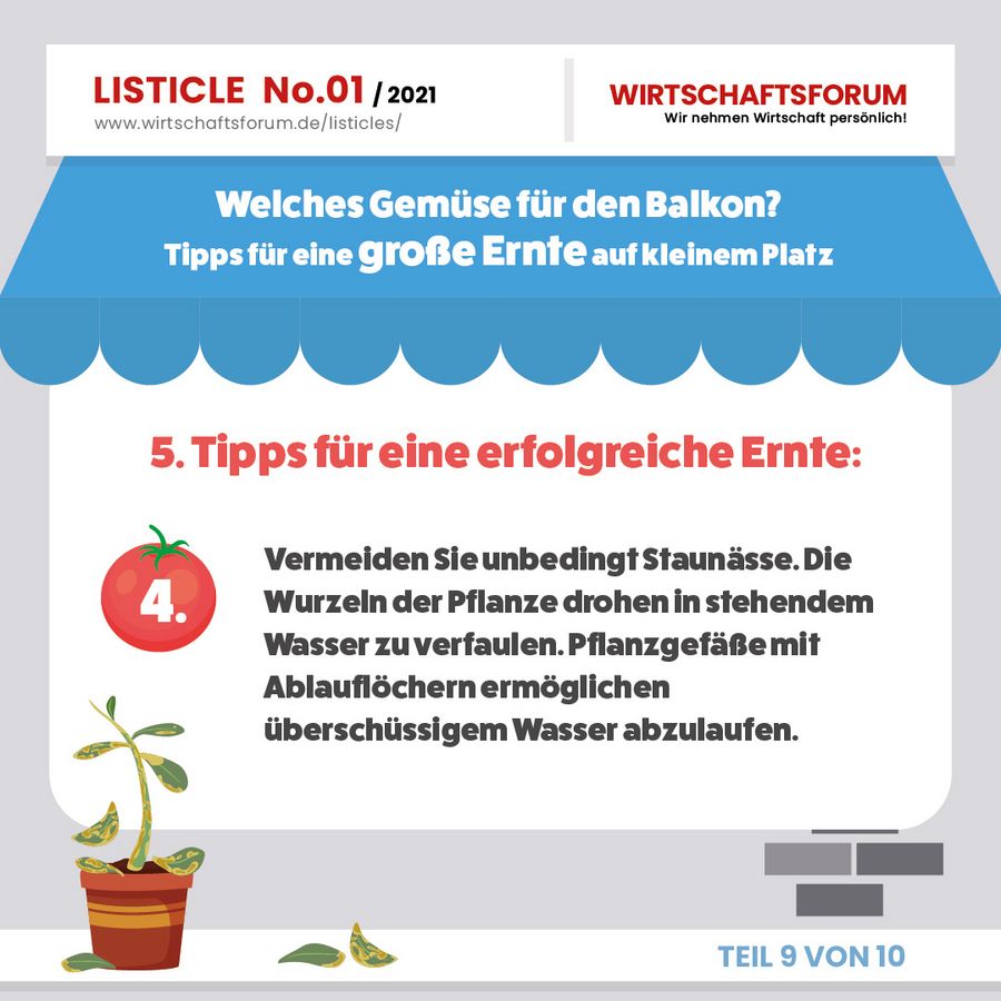 Gemüse für den Balkon