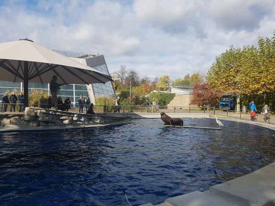 Obra Seelöwenbecken Stuttgarter Zoo