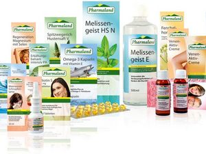 Pioniergeist bringt Erfolg