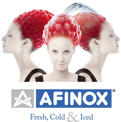 Afinox S.R.L.