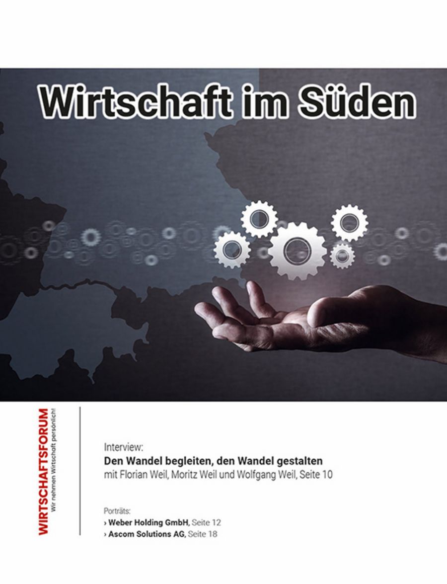 ePaper Wirtschaft im Süden 11