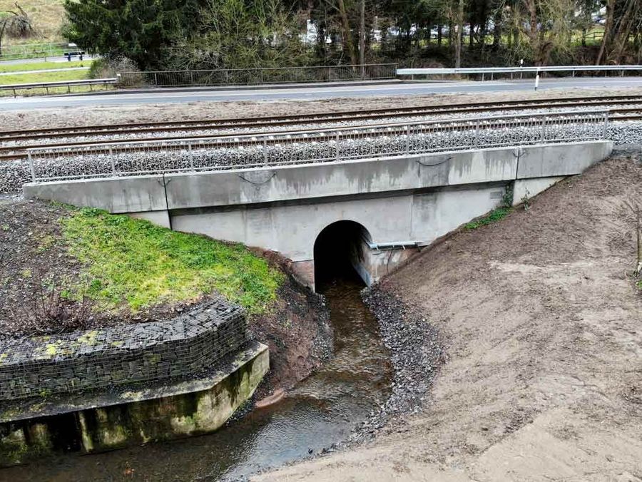 Problemlöser für die Bahn werden