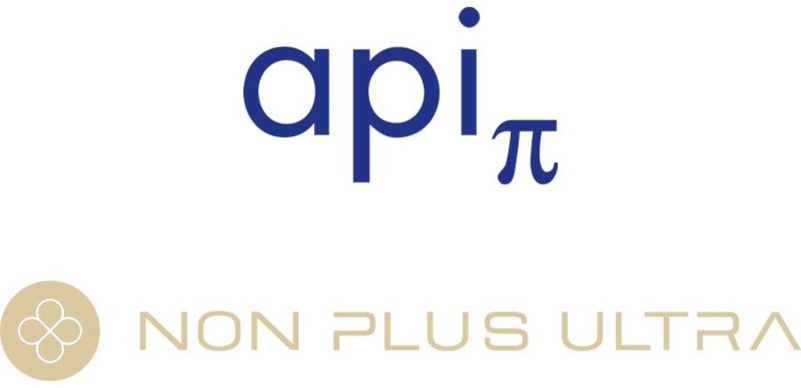 api GmbH