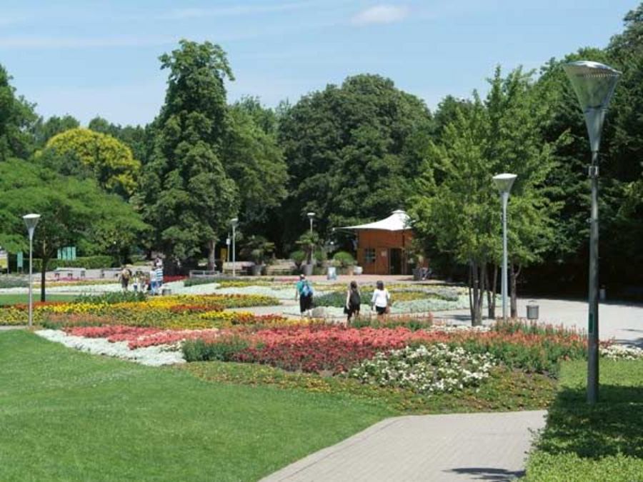 Schréder  Calla im Luisenpark, Mannheim