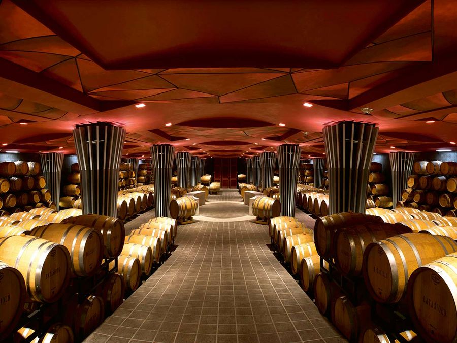 Im Königreich des Barolo Im Königreich des Barolo