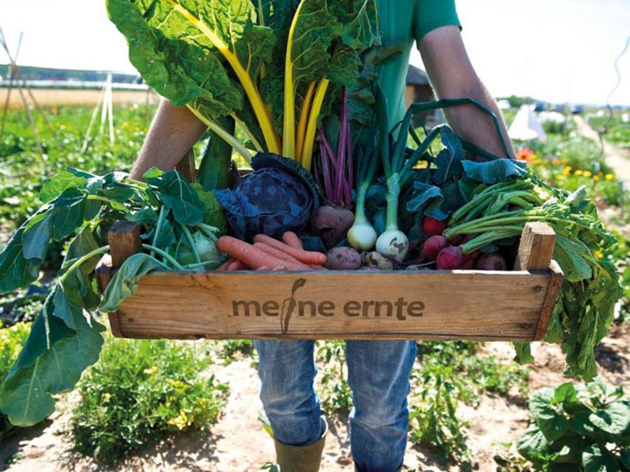 Gemüsegärten zum Mieten: ein Komplettpaket