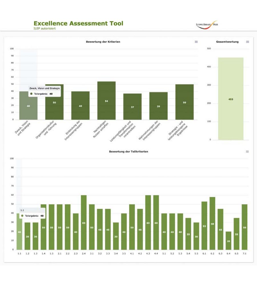 AMS Marketing Service Excellence Assessment Tool