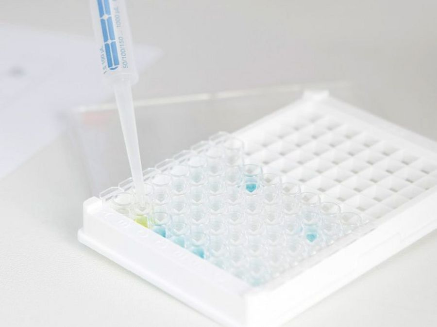 Die schnelle und sichere Diagnose Die schnelle und sichere Diagnose