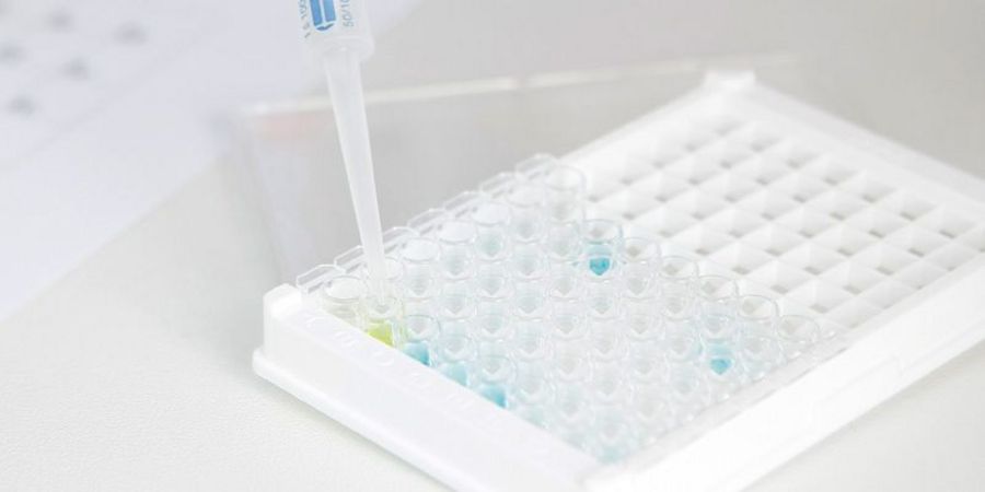 Dr. Fooke-Achterrath Laboratorien Allergie- und Autoimmundiagnostik Dr. Fooke-Achterrath Laboratorien Allergie- und Autoimmundiagnostik