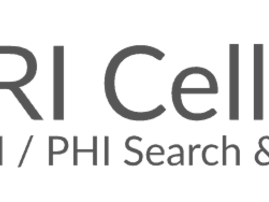 CellShield für Reporting & Maskierung von PII / PHI / PAN in Microsoft Excel® Tabellen