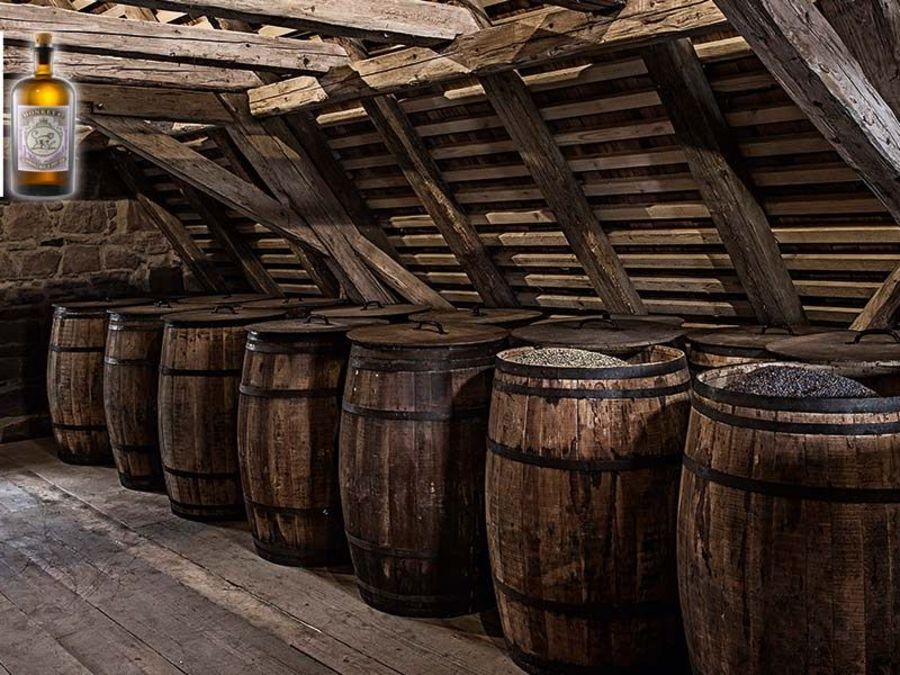 Der Gin des Lebens Der Gin des Lebens