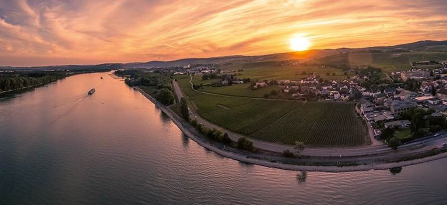 Fritz Allendorf Weinhandel Weinberge am Rhein