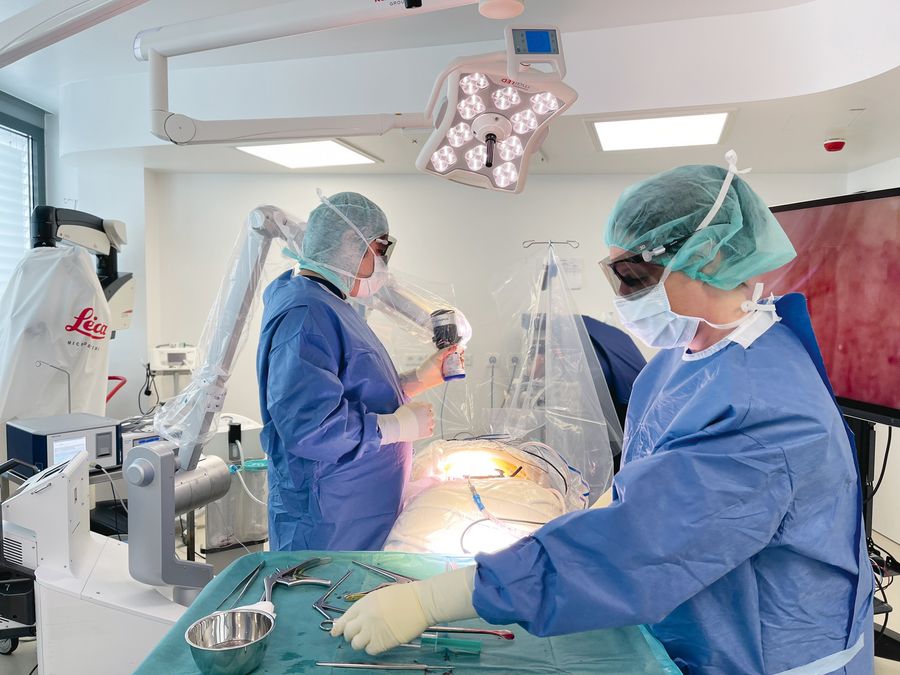 Spezialisierte ambulante orthopädische Versorgung