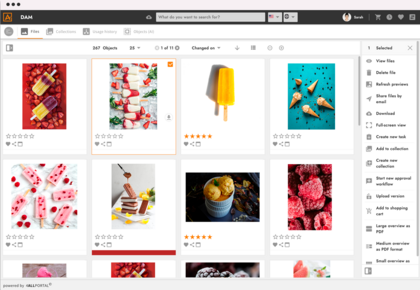 4ALLPORTAL - DAM Software - Digital Asset Management