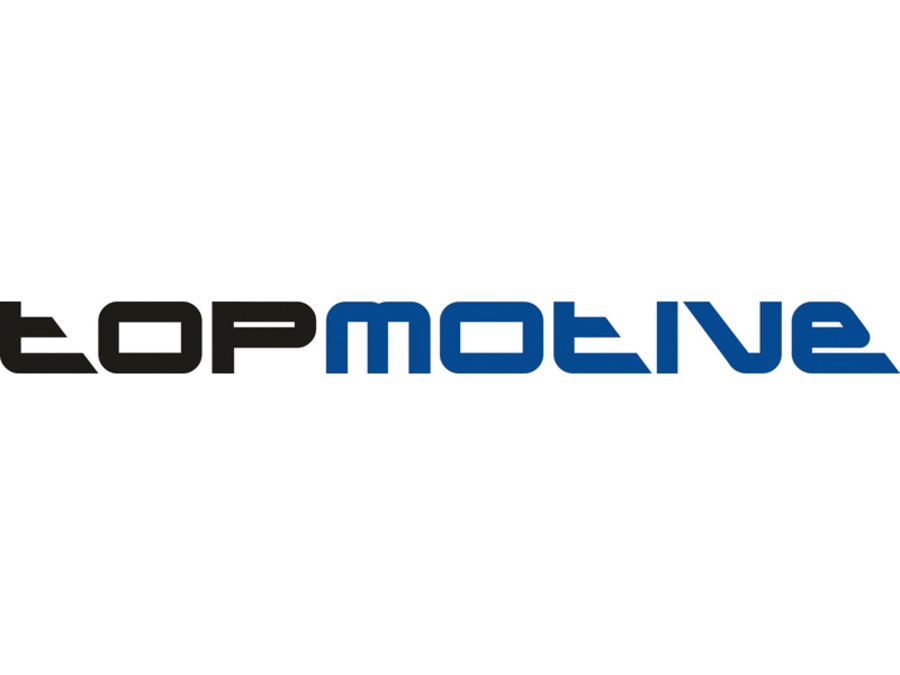 TOPMOTIVE (DVSE Gesellschaft für Datenverarbeitung, Service und Entwicklung mbH)