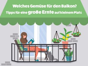 Die richtige Pflanzerde