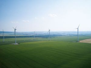 Erfolg mit der Kraft des Windes