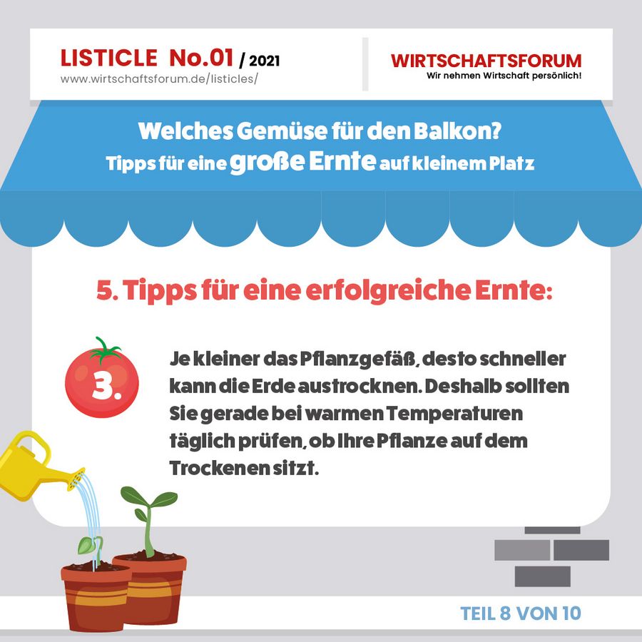 Gemüse für den Balkon
