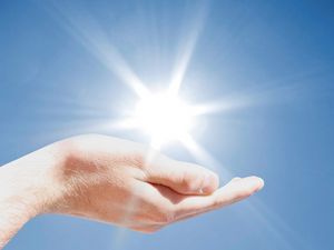 Wachsen durch die Kraft der Sonne