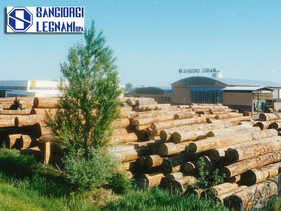Der richtige Riecher für Holz Der richtige Riecher für Holz