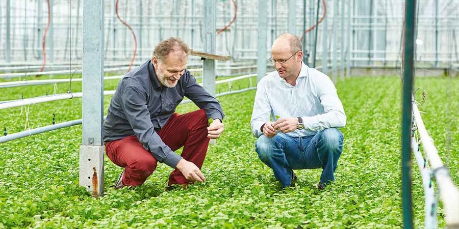 Meinrad Schmitt, Geschäftsführer und Inhaber von Terra Naturkost (l.), und Sascha Philipp vom Landgut Pretschen