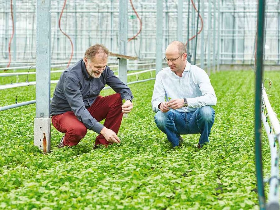 Verbraucher akzeptieren nicht mehr alles