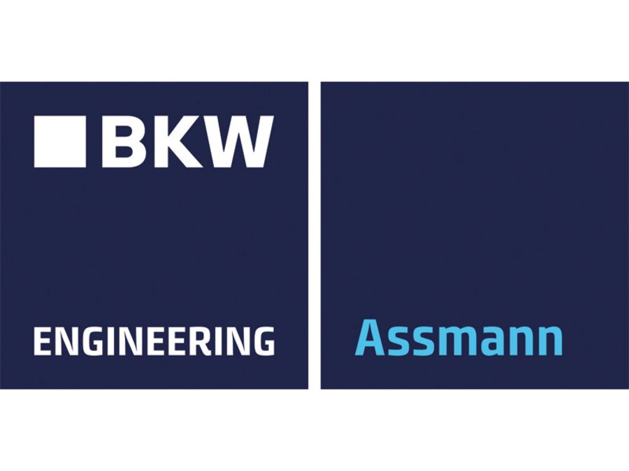 Assmann Beraten + Planen GmbH