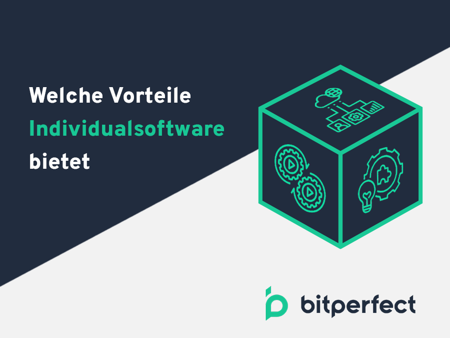 Welche Vorteile Individualsoftware bieten kann