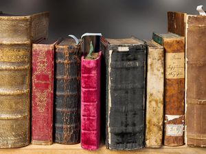 Welttag des Buches: Unsere 15 Buchfavoriten