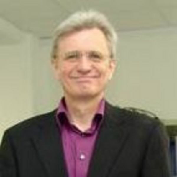 Mike Bährle, Geschäftsführer