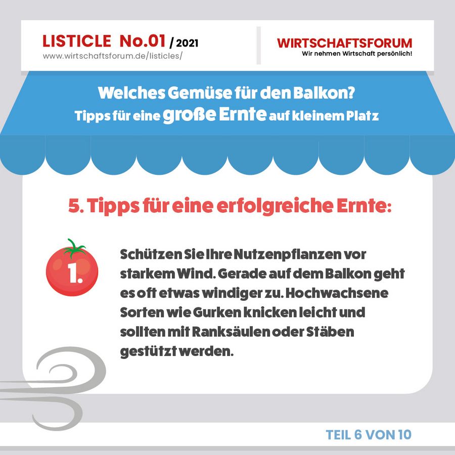 Gemüse für den Balkon
