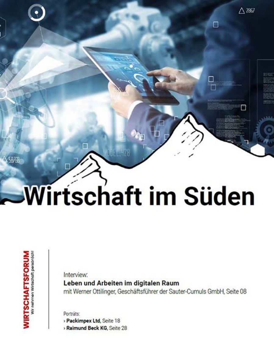 ePaper Wirtschaft im Süden 10