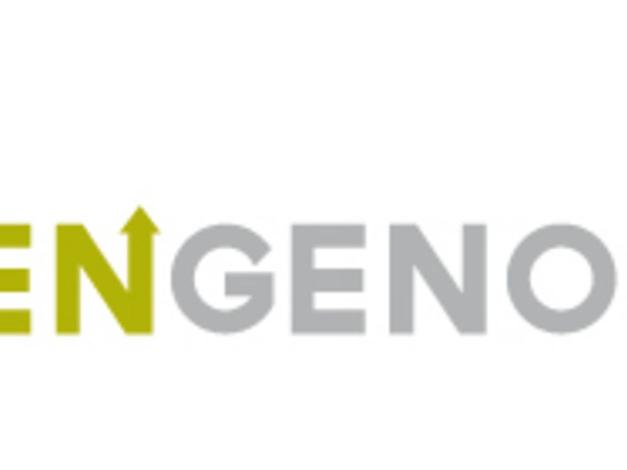 ProEngeno GmbH & Co. KG