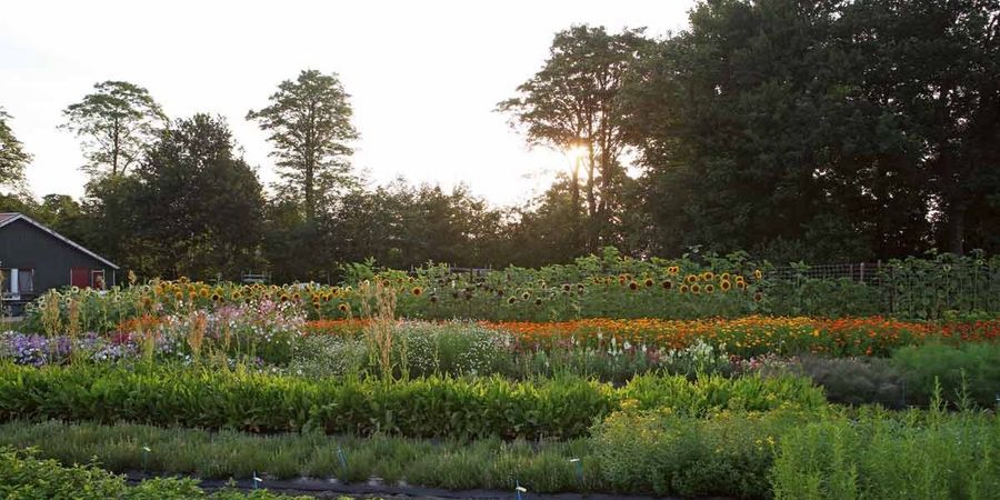 Tuinplus - Testgärten der Mutterfirma Pieterpikzonen