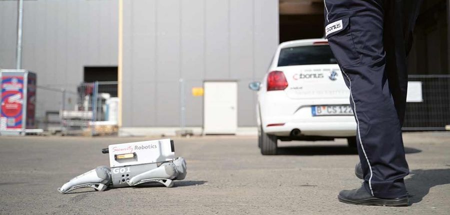CIBORIUS Robotermodell Go1