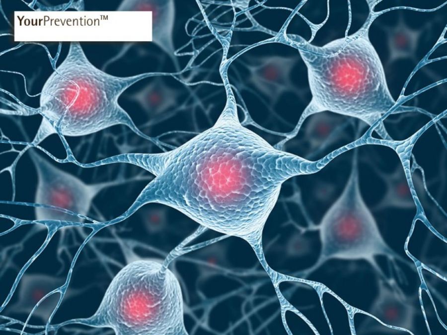 Gesundheit durch Prävention Gesundheit durch Prävention