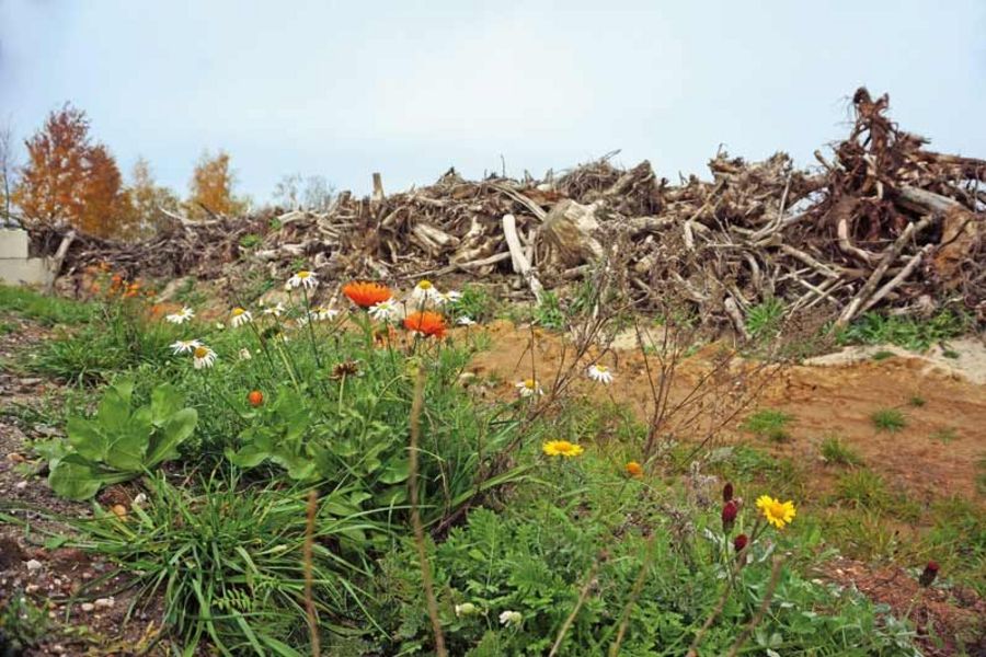 RÖSL Naturschutz