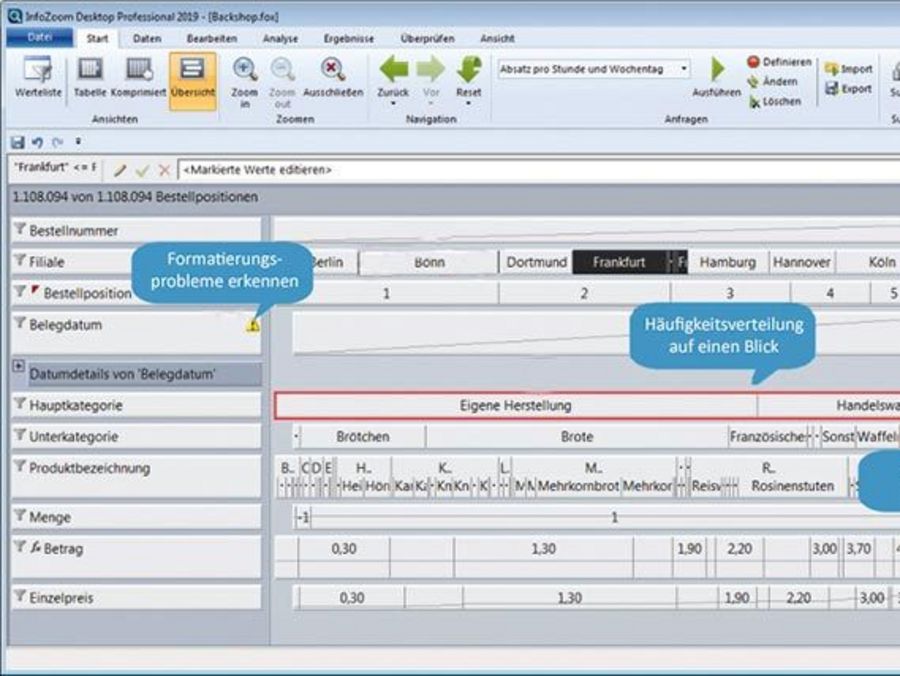 humanIT Software Infozoom Desktop